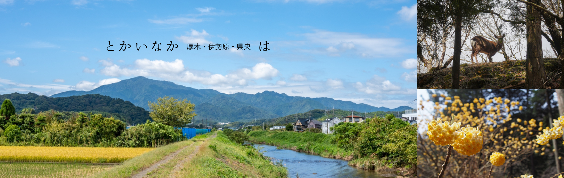とかいなか（厚木・伊勢原・県央）は